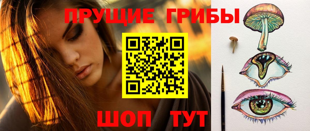 Псилоцибиновые грибы Psilocybine cubensis  Вход с VPN  Минеральные Воды 